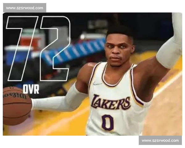 聚焦NBA23对比24赛季格局变迁与球星表现全面深度解析